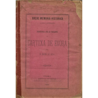 Livros/Acervo/S/SILVAS D BRUNO DA